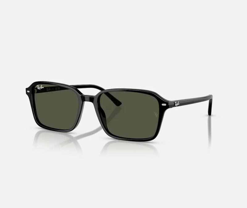 Ray Ban RB 2231 Raimond