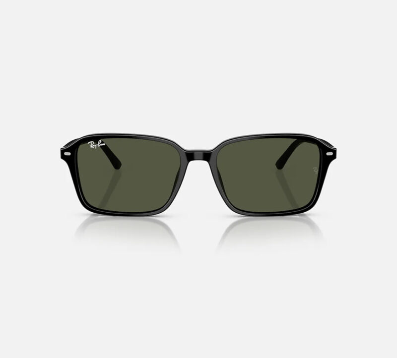 Ray Ban RB 2231 Raimond - Image 2
