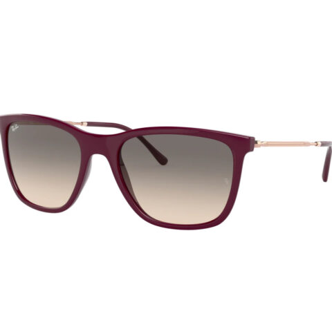 Ray Ban RB 4344