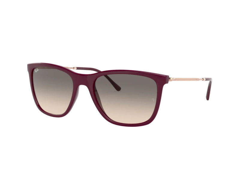 Ray Ban RB 4344
