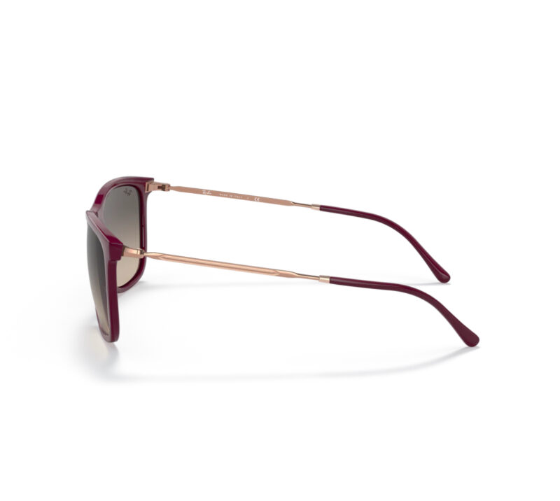 Ray Ban RB 4344 - Image 4