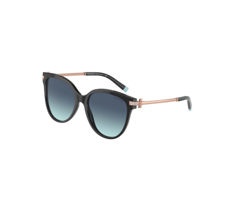 tiffany & co TF 4193-B